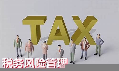 企业税务管理中的风险与挑战-第1张图片-www.211178.com_果博福布斯网站建设